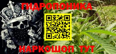 индика Нарткала