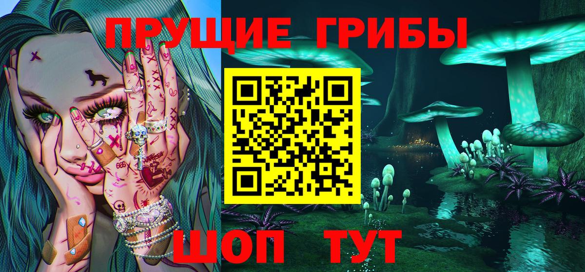 Мурино  Псилоцибиновые грибы мухоморы  Вход с VPN 