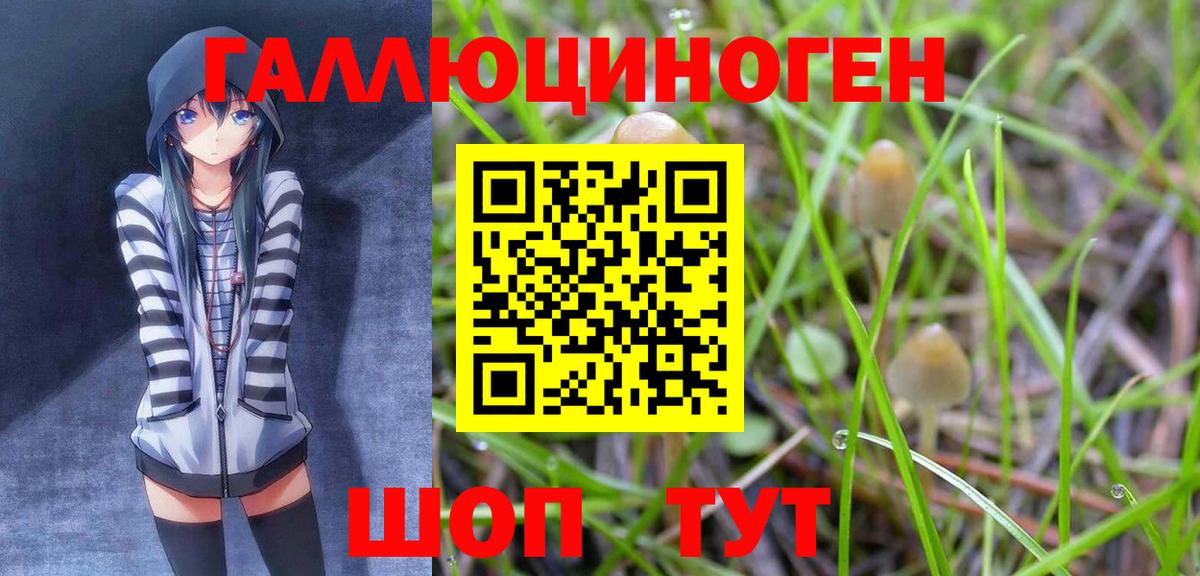 Галлюциногенные грибы мицелий Мурино
